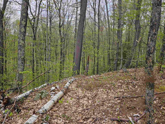 Lot 123 Paulsen Circle, Haverhill, NH 03765