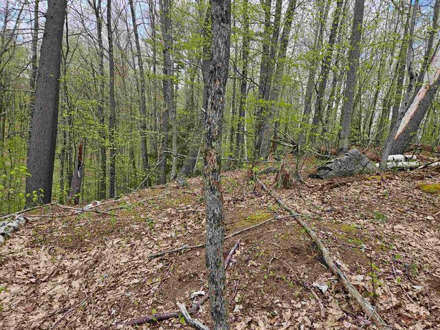 Lot 123 Paulsen Circle, Haverhill, NH 03765