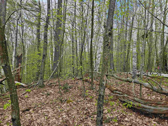 Lot 123 Paulsen Circle, Haverhill, NH 03765