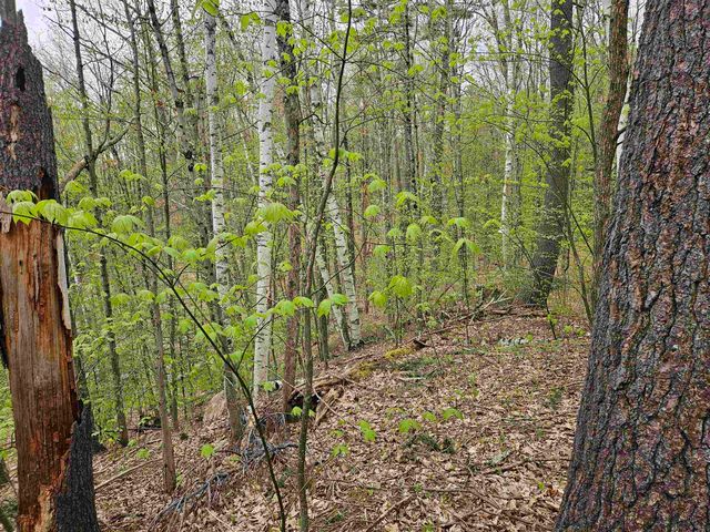 Lot 123 Paulsen Circle, Haverhill, NH 03765