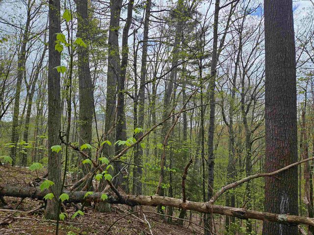 Lot 123 Paulsen Circle, Haverhill, NH 03765
