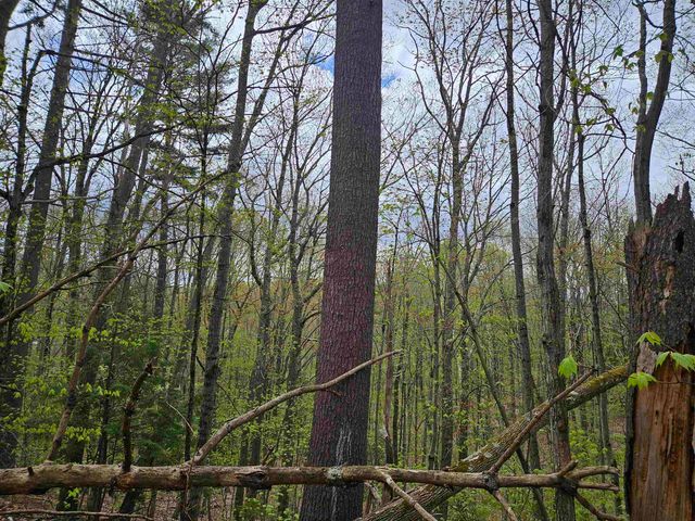 Lot 123 Paulsen Circle, Haverhill, NH 03765