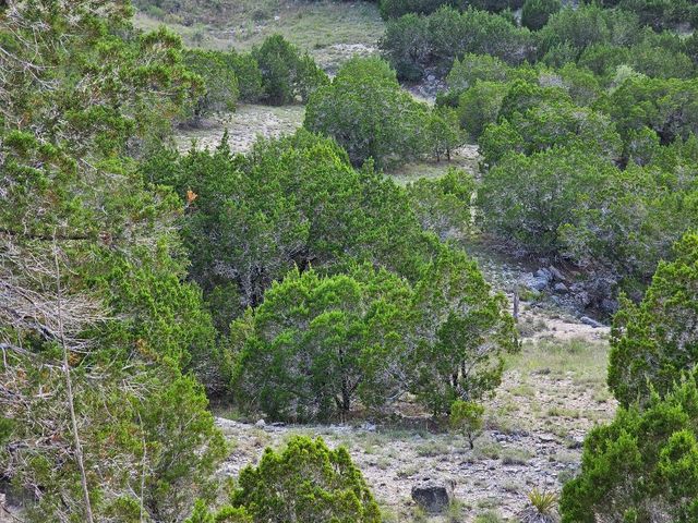 20208 Thurman Bend RD, Spicewood, TX 78669