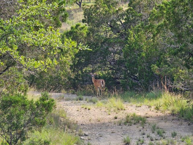 20208 Thurman Bend RD, Spicewood, TX 78669