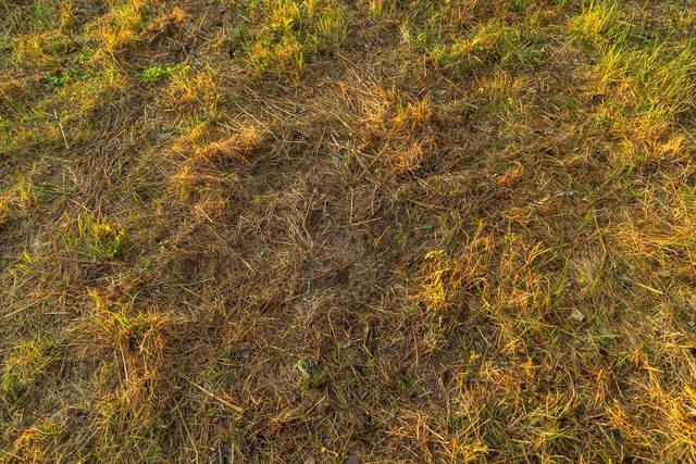 0000 E 307th Street, Harrisonville, MO 64701