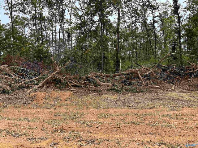 21428 Holland Road, Athens, AL 35614