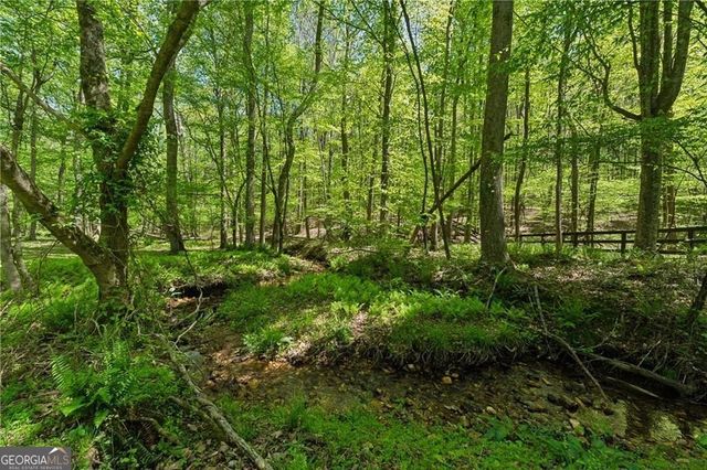 2230 Henry Scott Road, Ball Ground, GA 30107