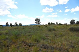 TBD 1796 DR (DEER TRAIL), Chama, NM 87520