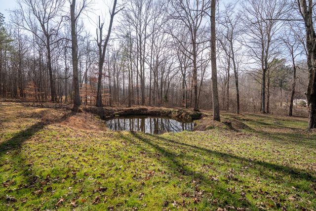 75 Buie Rd, Summertown, TN 38483