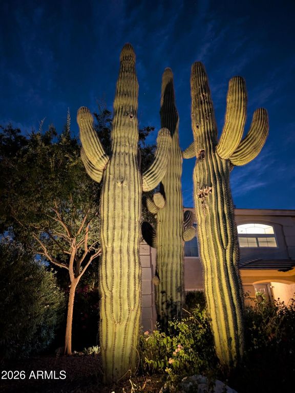 4621 E BENT TREE Drive, Cave Creek, AZ 85331 — photo 5
