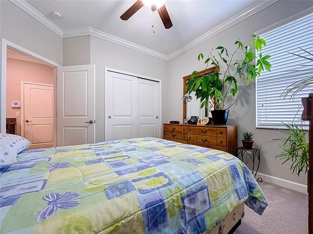 19210 ALEXANDREA LEE COURT, Land O Lakes, FL 34638