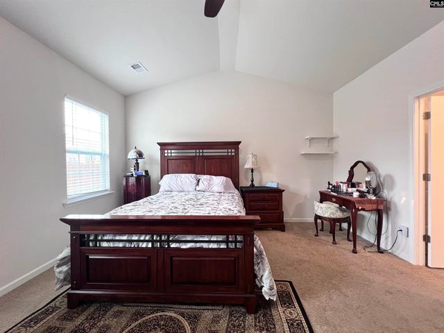 819 Trident Maple Lane, Chapin, SC 29036