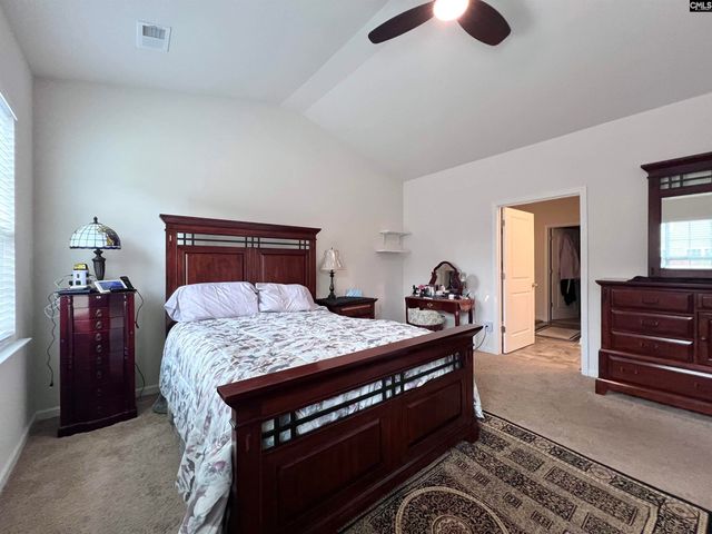 819 Trident Maple Lane, Chapin, SC 29036