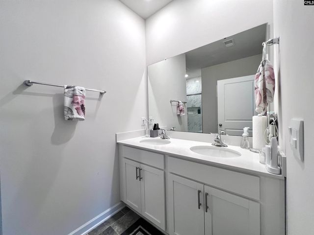 819 Trident Maple Lane, Chapin, SC 29036