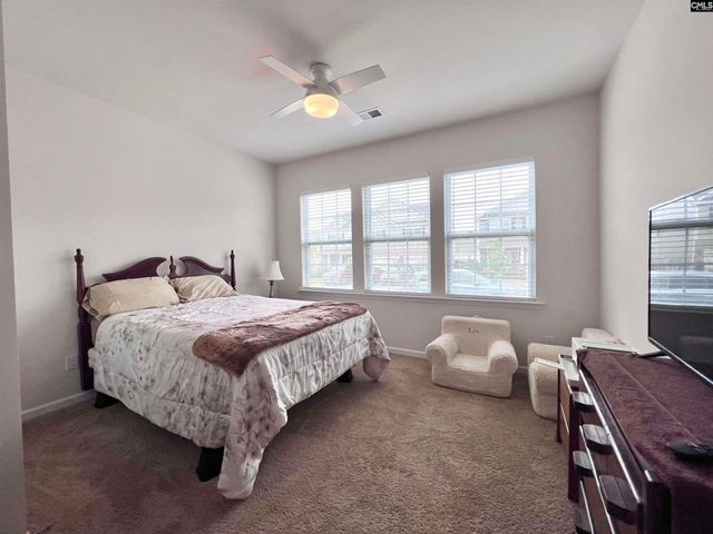 819 Trident Maple Lane, Chapin, SC 29036