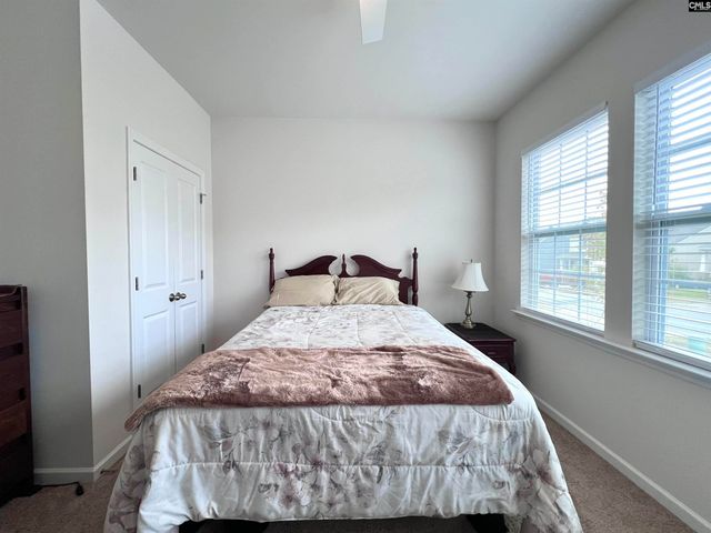 819 Trident Maple Lane, Chapin, SC 29036