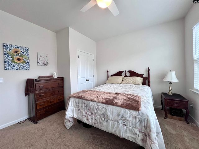 819 Trident Maple Lane, Chapin, SC 29036