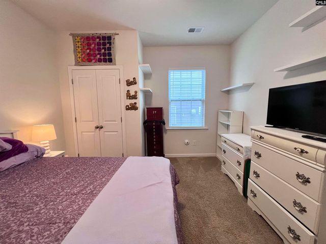 819 Trident Maple Lane, Chapin, SC 29036