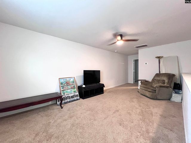 819 Trident Maple Lane, Chapin, SC 29036