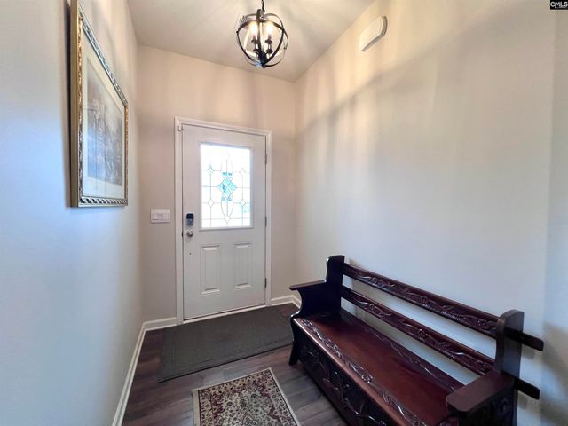 819 Trident Maple Lane, Chapin, SC 29036