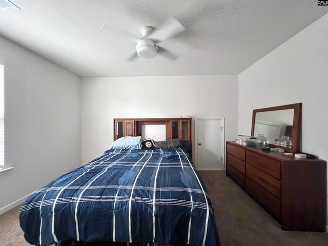 819 Trident Maple Lane, Chapin, SC 29036