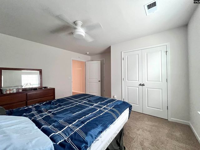 819 Trident Maple Lane, Chapin, SC 29036