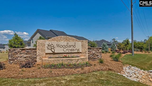 819 Trident Maple Lane, Chapin, SC 29036