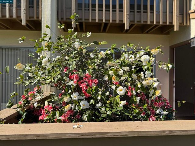 1900 Pomar Way, Walnut Creek, CA 94598