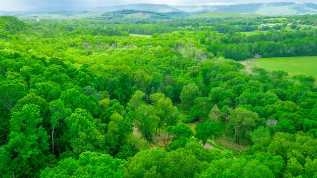 325 Evening Shadow Lane, Whitwell, TN 37397