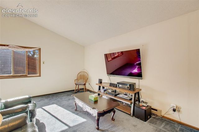 886 Cottonwood Lake Drive, Divide, CO 80814