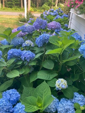 7 Crane Landing Rd, Wareham, MA 02571