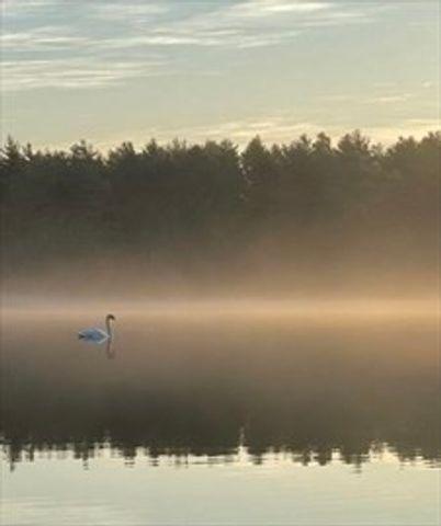 7 Crane Landing Rd, Wareham, MA 02571