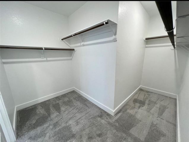 17697 Tree Of Heaven Drive, Conroe, TX 77385