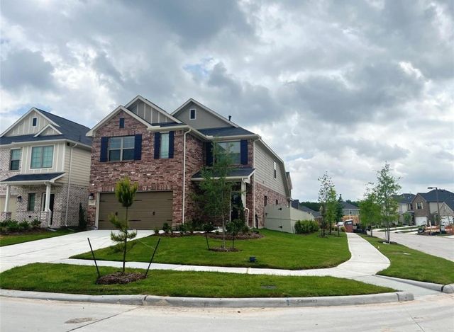 17697 Tree Of Heaven Drive, Conroe, TX 77385