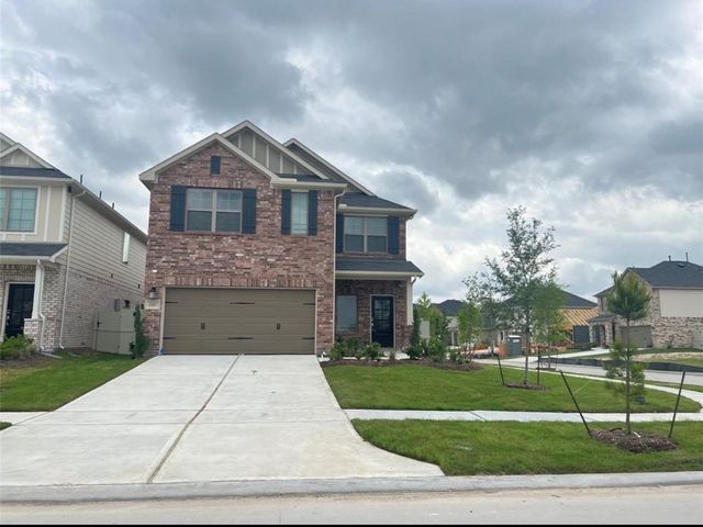 17697 Tree Of Heaven Drive, Conroe, TX 77385