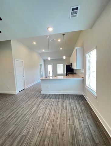 17697 Tree Of Heaven Drive, Conroe, TX 77385