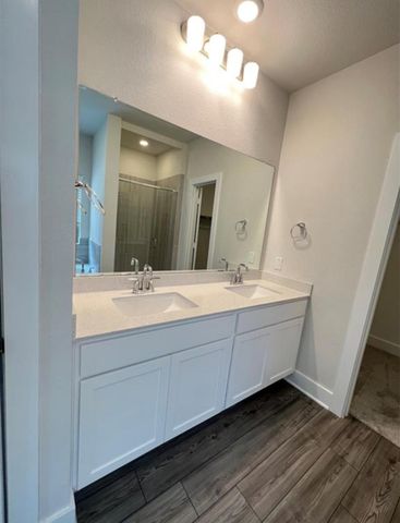 17697 Tree Of Heaven Drive, Conroe, TX 77385