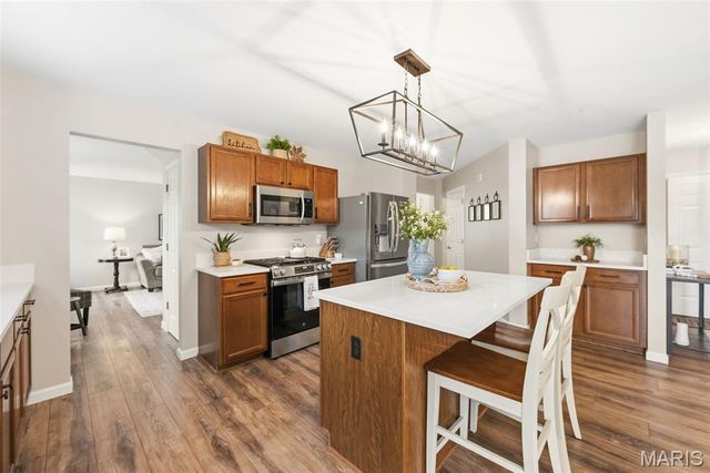 357 Magoffin Trails Court, St Louis, MO 63129