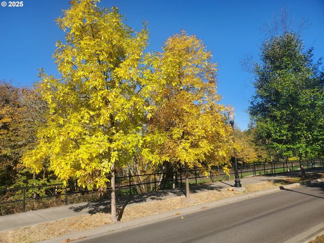 4th Ave, Veneta, OR 97487