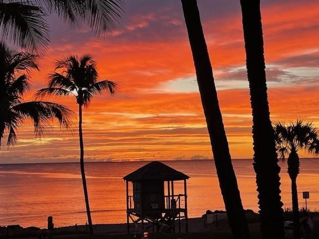 2051 SE 3rd Street 203, Deerfield Beach, FL 33441
