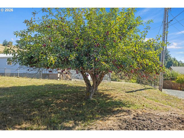 1826 22ND St, Myrtle Point, OR 97458