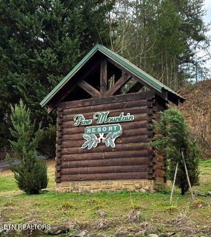 Lts 34 35R Pine Peak Way, Pigeon Forge, TN 37863