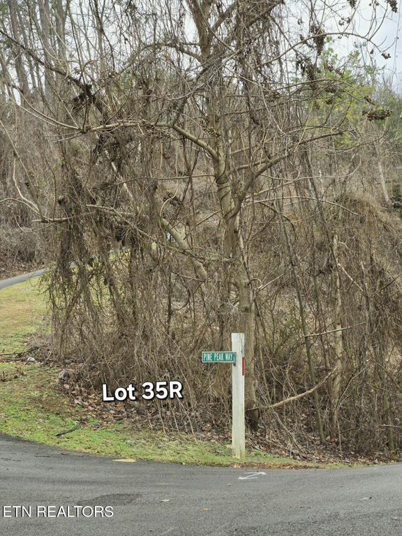 Lts 34 35R Pine Peak Way, Pigeon Forge, TN 37863