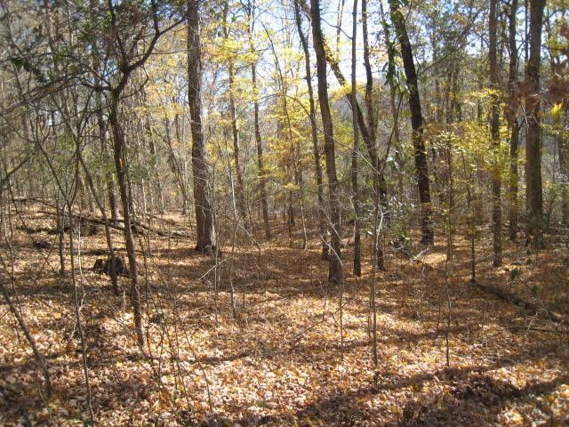 0 Toll Dugger Rd, Culleoka, TN 38451