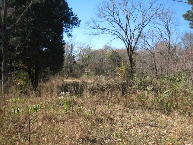 0 Toll Dugger Rd, Culleoka, TN 38451