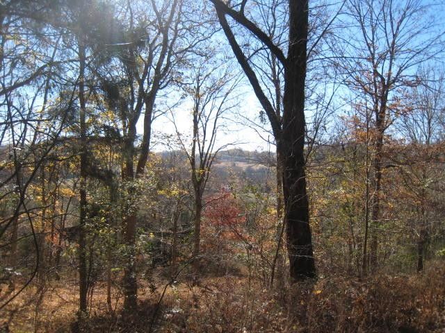 0 Toll Dugger Rd, Culleoka, TN 38451