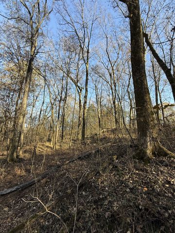 0 Toll Dugger Rd, Culleoka, TN 38451