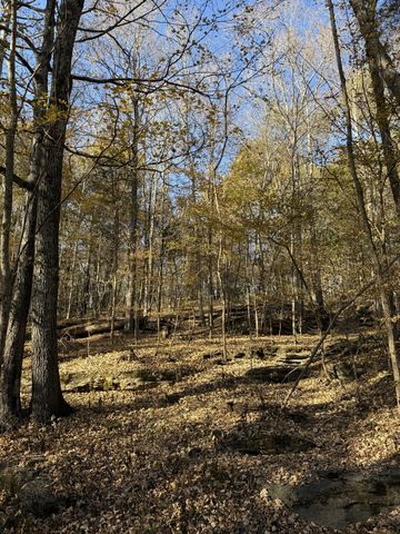 0 Toll Dugger Rd, Culleoka, TN 38451