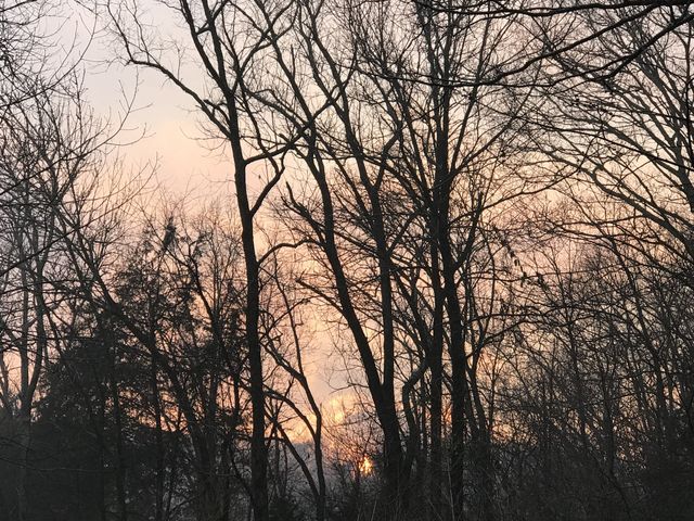 0 Toll Dugger Rd, Culleoka, TN 38451