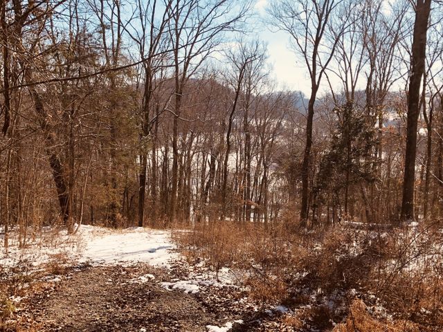 0 Toll Dugger Rd, Culleoka, TN 38451